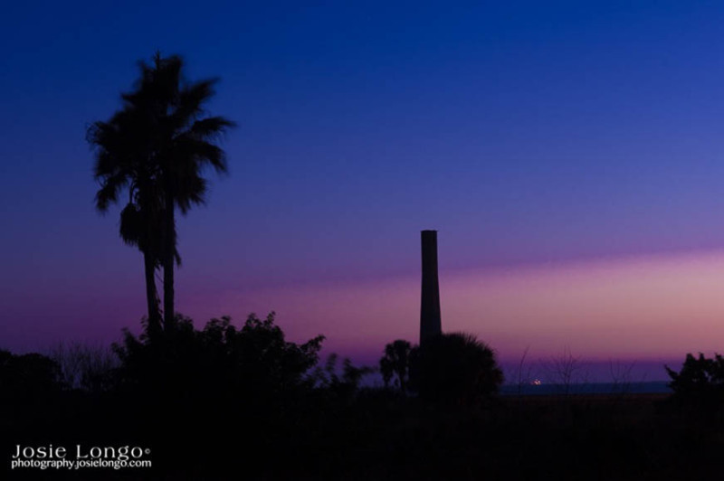 Palm & Smoke Stack