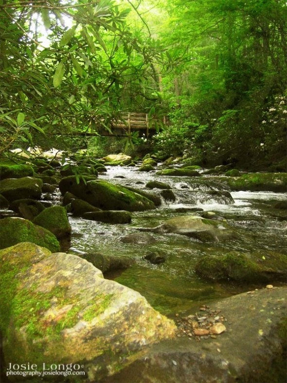 Blue Ridge Mt. river