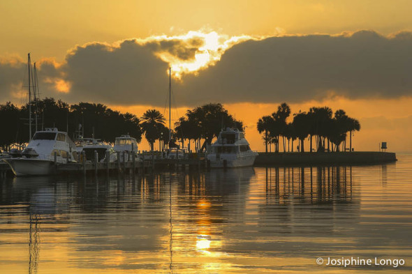 Vinoy Marina