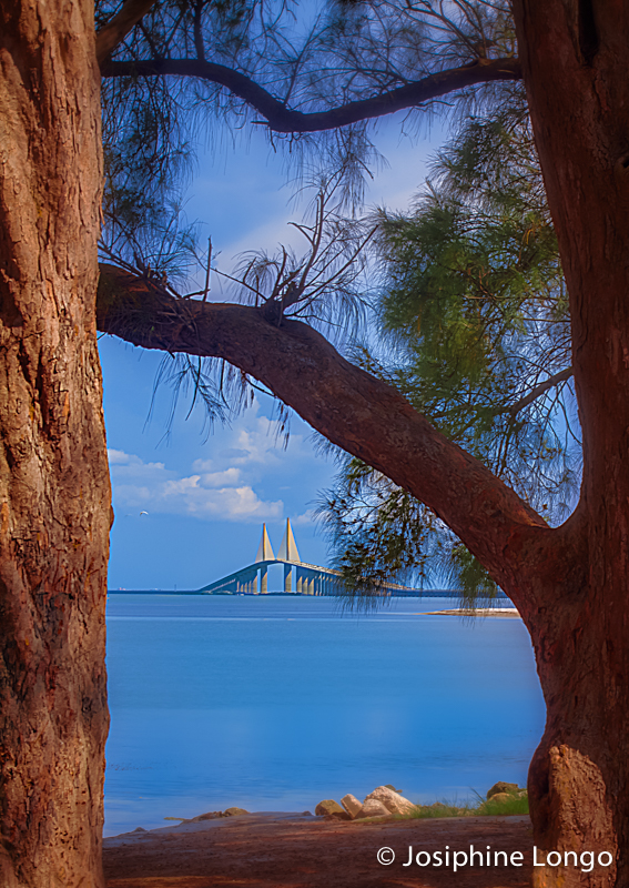 Skyway Bridge