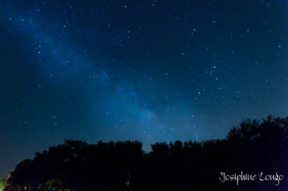 Myakka Milky Way