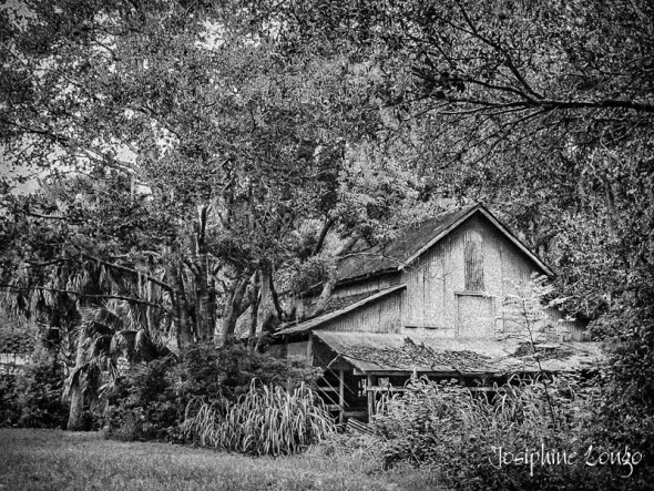 N FL Barn